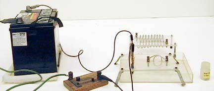 Magnetic Field of a Current-Carrying Wire