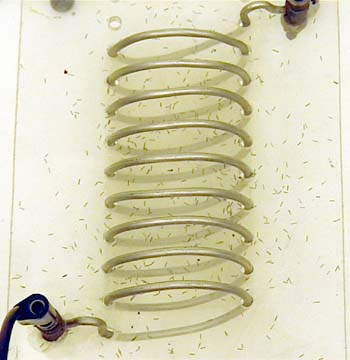 Magnetic Field Inside a Solenoid