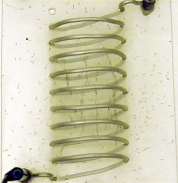 Magnetic Field Inside a Solenoid